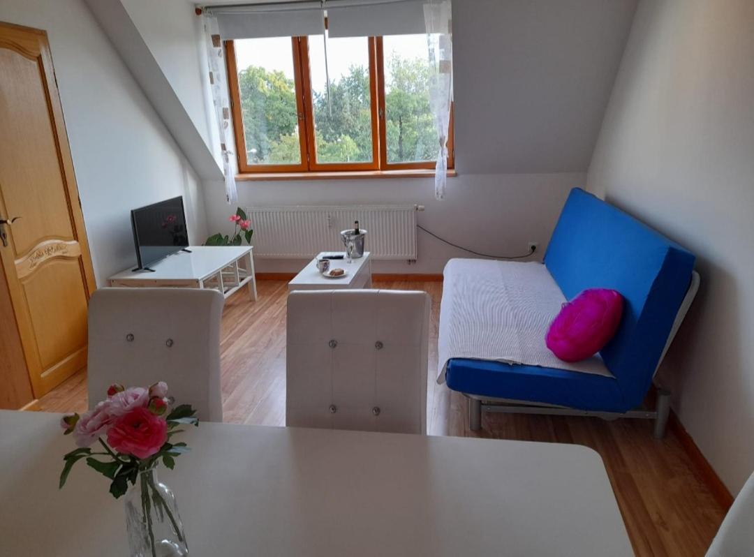 Apartamento Riegrova Ceske Budejovice Exterior foto
